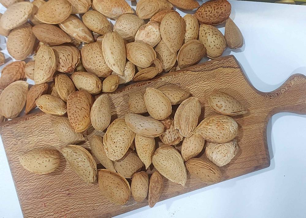 بادام سنگی